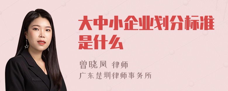 大中小企业划分标准是什么