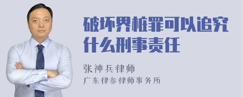 破坏界桩罪可以追究什么刑事责任