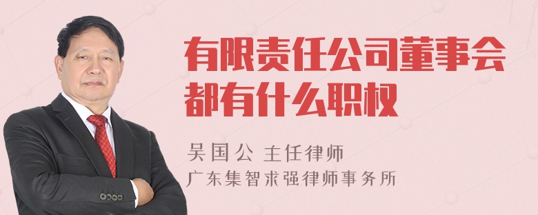 有限责任公司董事会都有什么职权