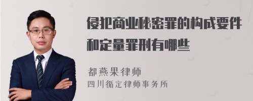 侵犯商业秘密罪的构成要件和定量罪刑有哪些