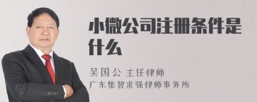 小微公司注册条件是什么