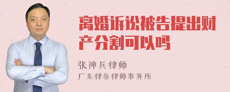 离婚诉讼被告提出财产分割可以吗