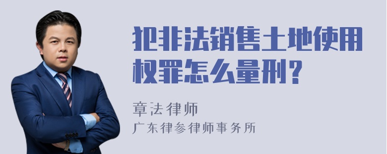 犯非法销售土地使用权罪怎么量刑？