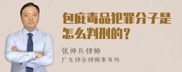 包庇毒品犯罪分子是怎么判刑的？