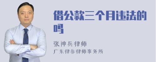 借公款三个月违法的吗