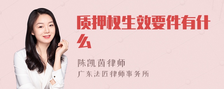 质押权生效要件有什么