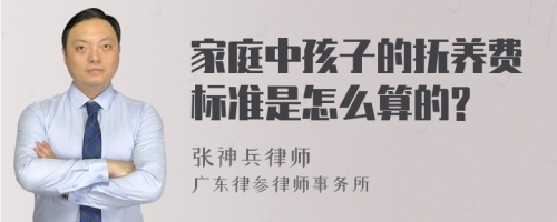 家庭中孩子的抚养费标准是怎么算的?