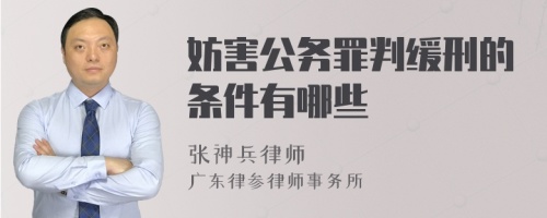 妨害公务罪判缓刑的条件有哪些