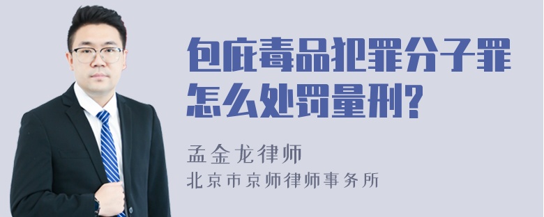 包庇毒品犯罪分子罪怎么处罚量刑?