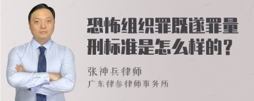 恐怖组织罪既遂罪量刑标准是怎么样的？