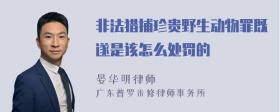 非法猎捕珍贵野生动物罪既遂是该怎么处罚的