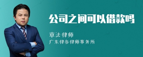 公司之间可以借款吗