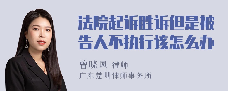 法院起诉胜诉但是被告人不执行该怎么办