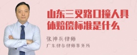 山东三叉路口撞人具体赔偿标准是什么