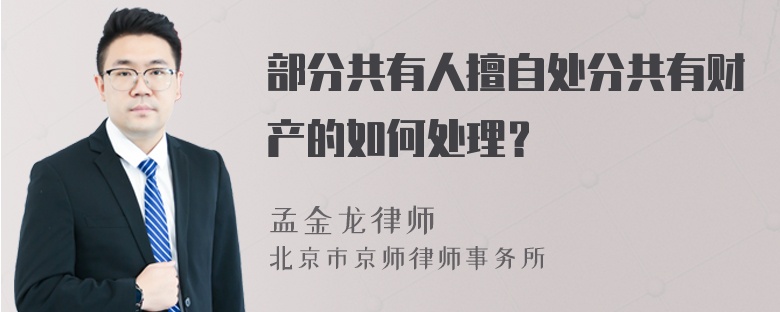 部分共有人擅自处分共有财产的如何处理？