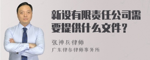 新设有限责任公司需要提供什么文件？