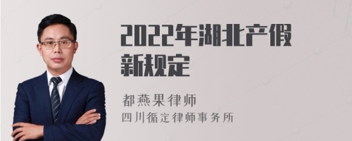 2022年湖北产假新规定