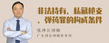 非法持有、私藏枪支、弹药罪的构成条件