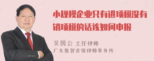 小规模企业只有进项税没有销项税的话该如何申报