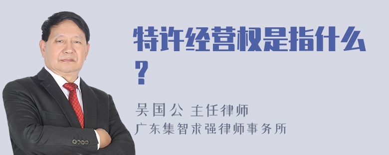 特许经营权是指什么？