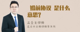  婚前协议 是什么意思?