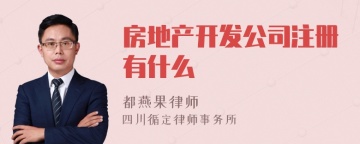 房地产开发公司注册有什么