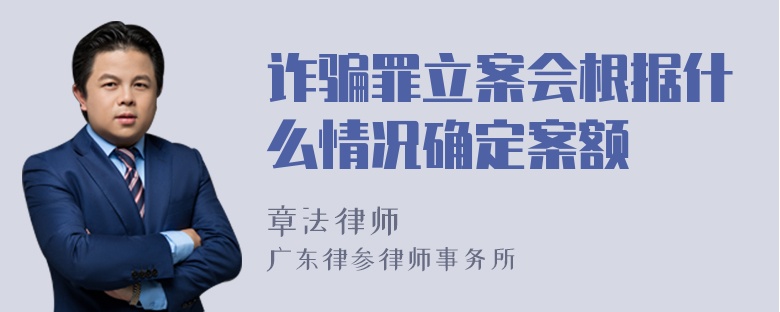 诈骗罪立案会根据什么情况确定案额