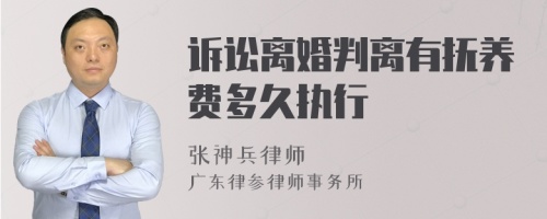 诉讼离婚判离有抚养费多久执行