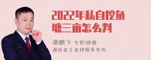 2022年私自挖鱼塘三亩怎么判