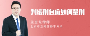 判缓刑包庇如何量刑