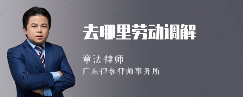 去哪里劳动调解