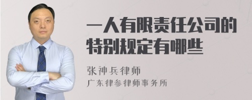 一人有限责任公司的特别规定有哪些