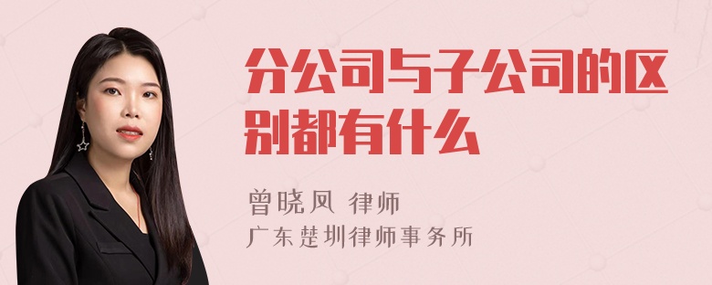 分公司与子公司的区别都有什么