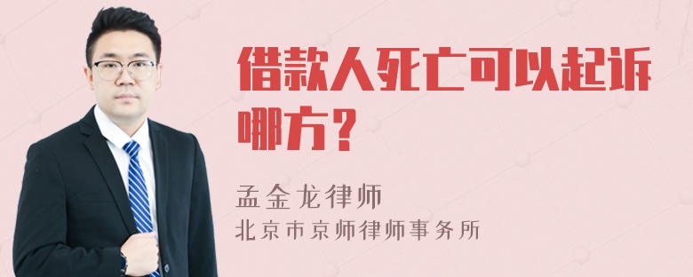 借款人死亡可以起诉哪方？