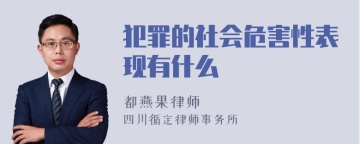 犯罪的社会危害性表现有什么