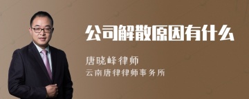 公司解散原因有什么