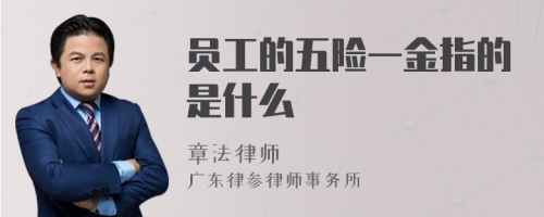 员工的五险一金指的是什么