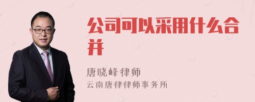 公司可以采用什么合并