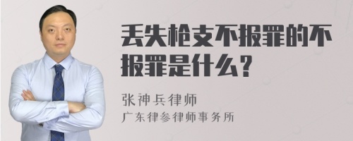 丢失枪支不报罪的不报罪是什么？