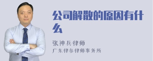 公司解散的原因有什么