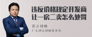 违反价格规定开发商让一房二卖怎么处罚