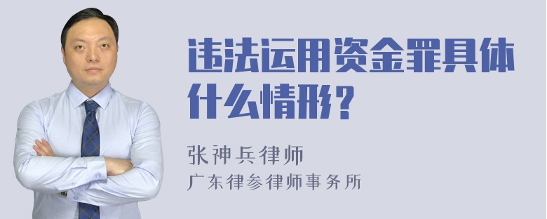 违法运用资金罪具体什么情形？