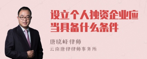 设立个人独资企业应当具备什么条件