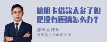 信用卡借款太多了但是没有还清怎么办？