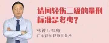 请问轻伤二级的量刑标准是多少？