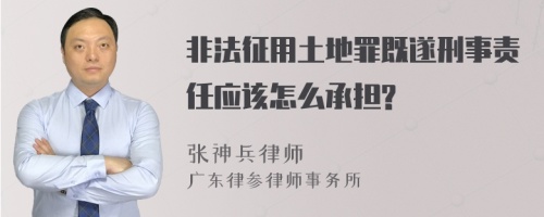 非法征用土地罪既遂刑事责任应该怎么承担?