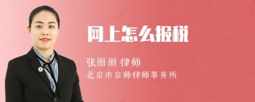 网上怎么报税