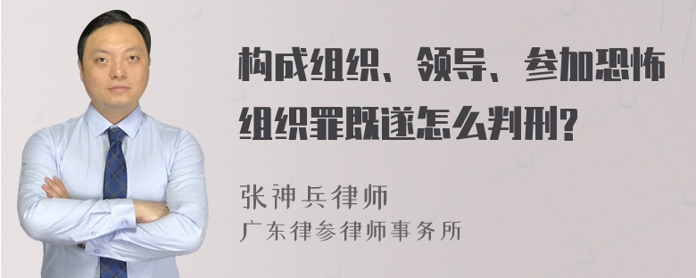 构成组织、领导、参加恐怖组织罪既遂怎么判刑?