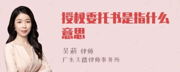 授权委托书是指什么意思