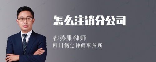 怎么注销分公司